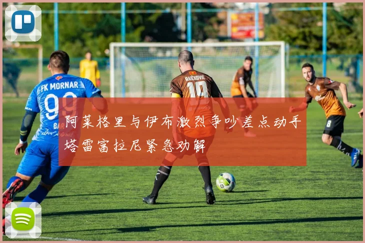 阿莱格里与伊布激烈争吵差点动手塔雷富拉尼紧急劝解